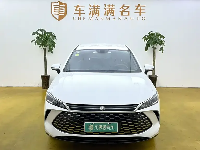 BYD Qin PLUS DM-i Smart Drive 128 KM Progressive