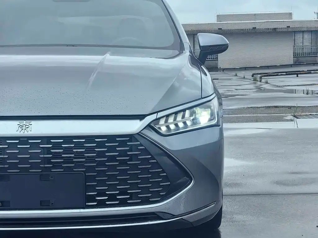 Qin PLUS DM-i 55 KM Flagship