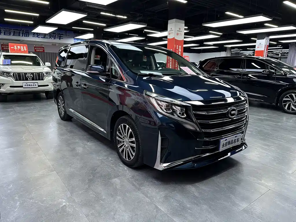 GAC Trumpchi M8 Leading Show Series 390 T Distinguished