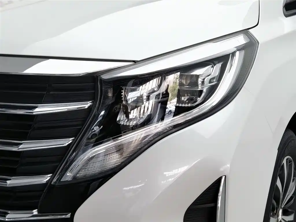 GAC Trumpchi M8 Leading Show Series 390 T Luxury