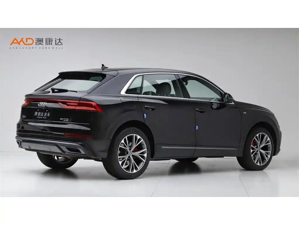 Audi Q8 奥迪Q82019款 55 TFSI 臻选动感型