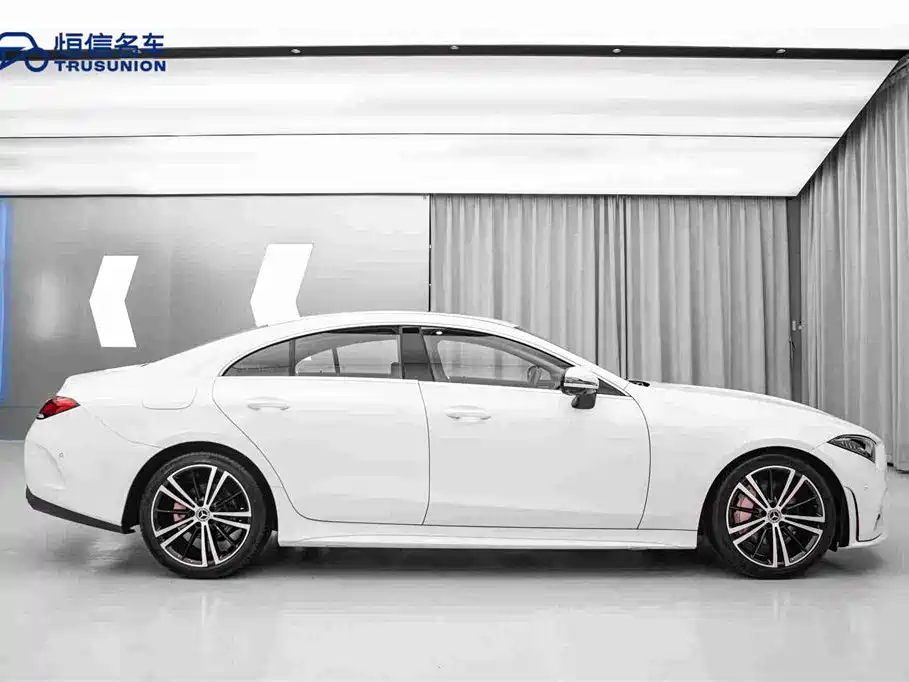 Mercedes-Benz CLS CLS 300 Dynamic