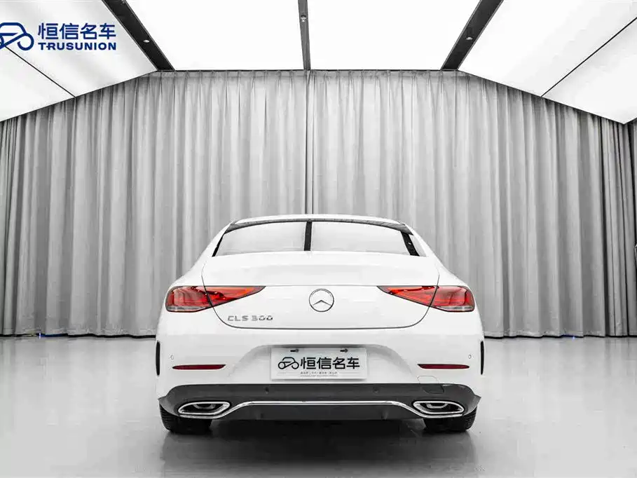 Mercedes-Benz CLS CLS 300 Dynamic