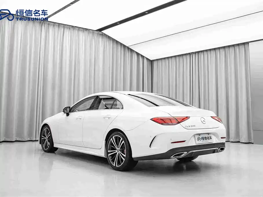 Mercedes-Benz CLS CLS 300 Dynamic