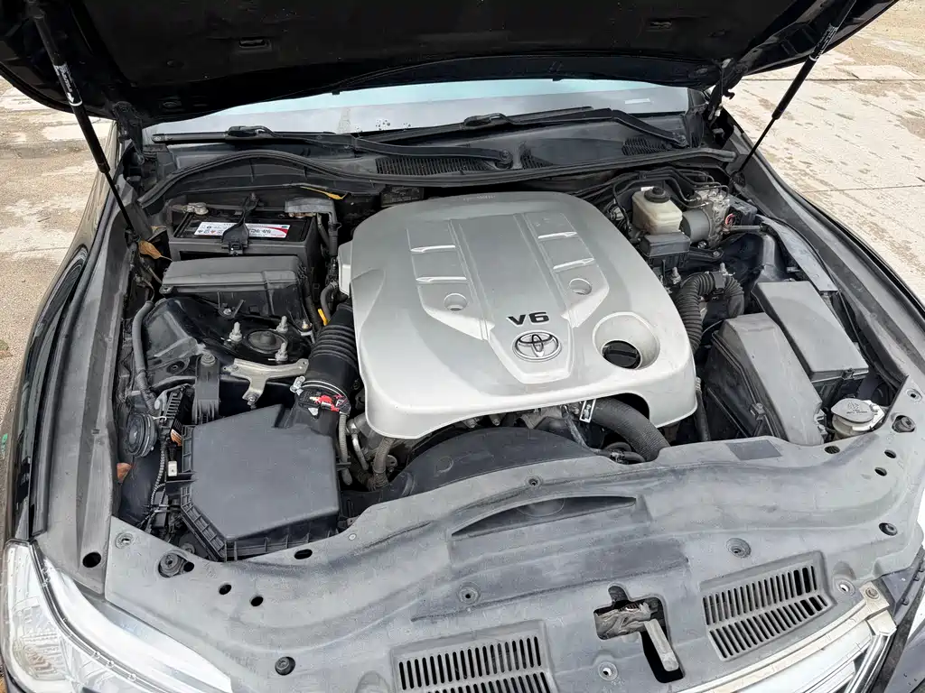 Mark X 2.5 V Demeanor Elite