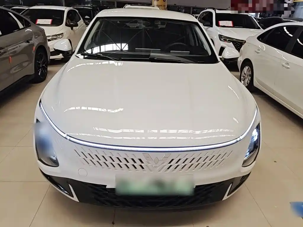 Wuling Starlight 70 km Intelligent Standard