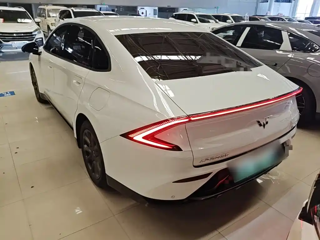 Wuling Starlight 70 km Intelligent Standard
