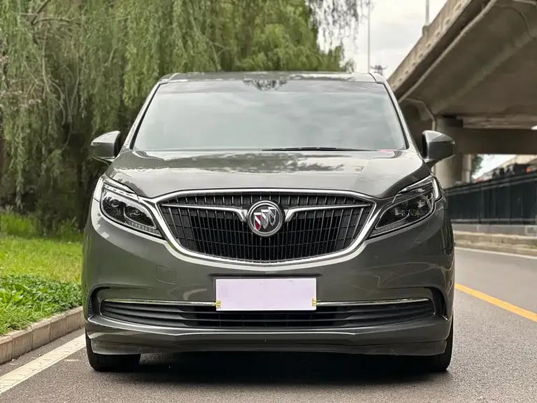 Buick GL8 ES 28 T Premium CN-VI