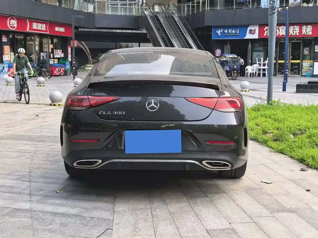 Mercedes-Benz CLS CLS 300 Dynamic