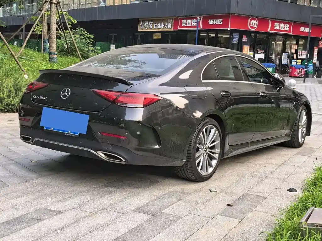 Mercedes-Benz CLS CLS 300 Dynamic