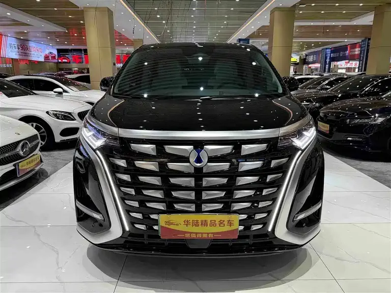 Denza D9 DM-i 980 4 WD Flagship