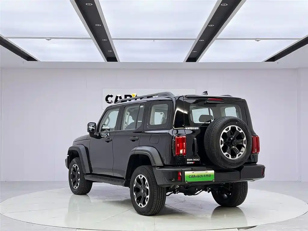 Tank 300 NEV Hi4-T 37.1 kWh