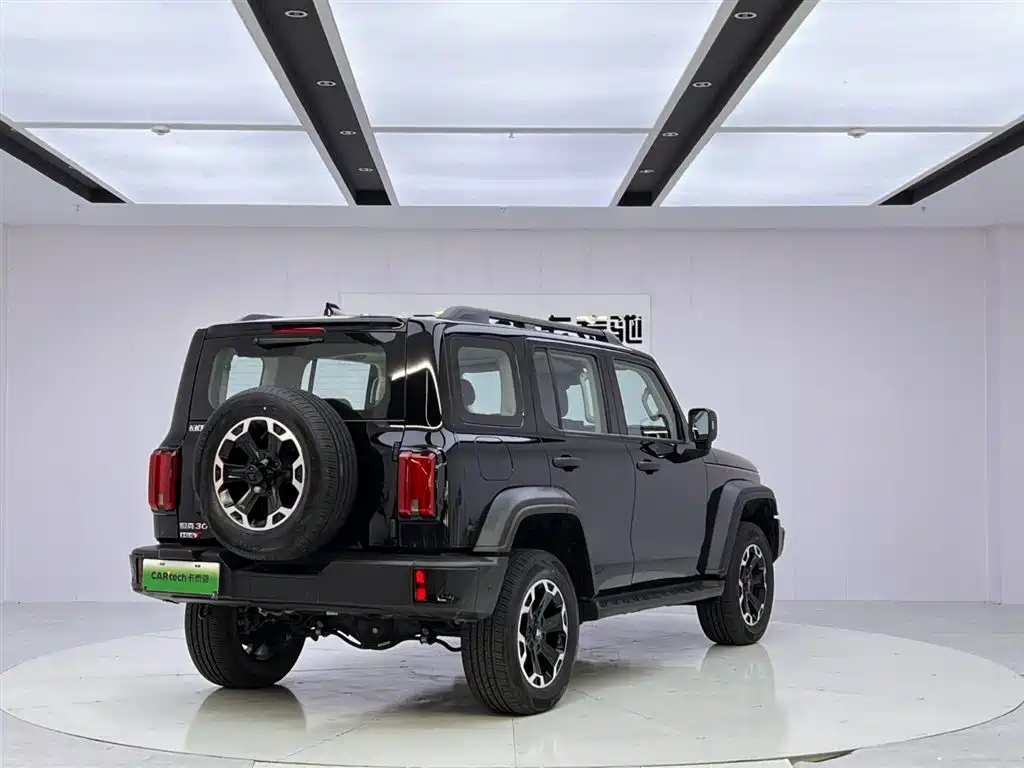 Tank 300 NEV Hi4-T 37.1 kWh