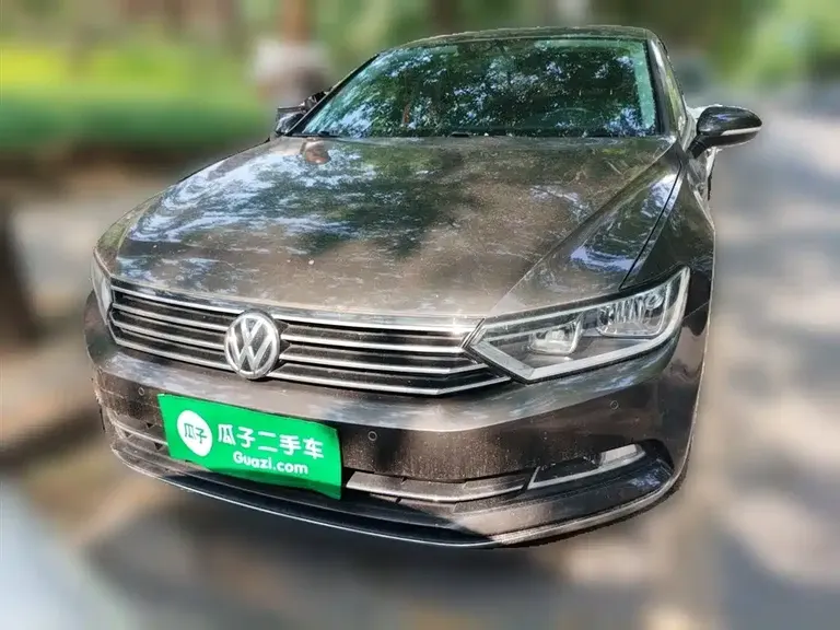 Volkswagen Magotan 330 TSI DSG Leading