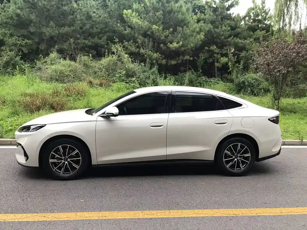 Seal 06 DM-i 80 KM Distinguished