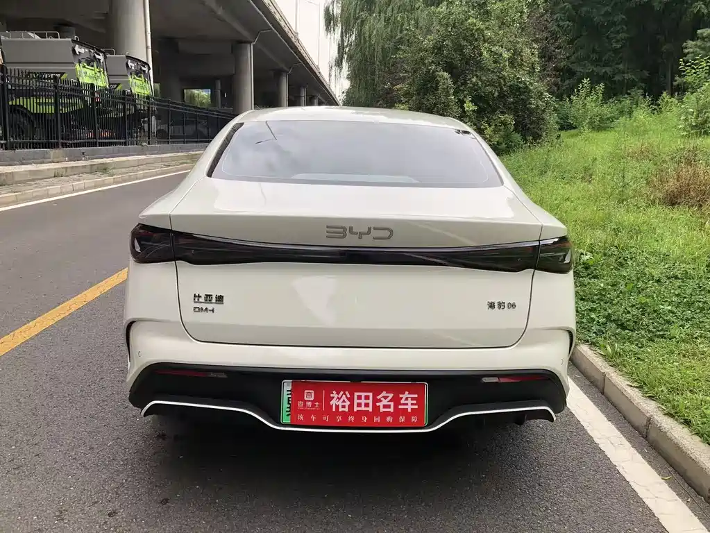 Seal 06 DM-i 80 KM Distinguished