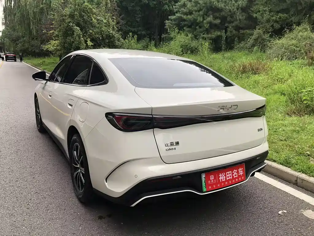 Seal 06 DM-i 80 KM Distinguished