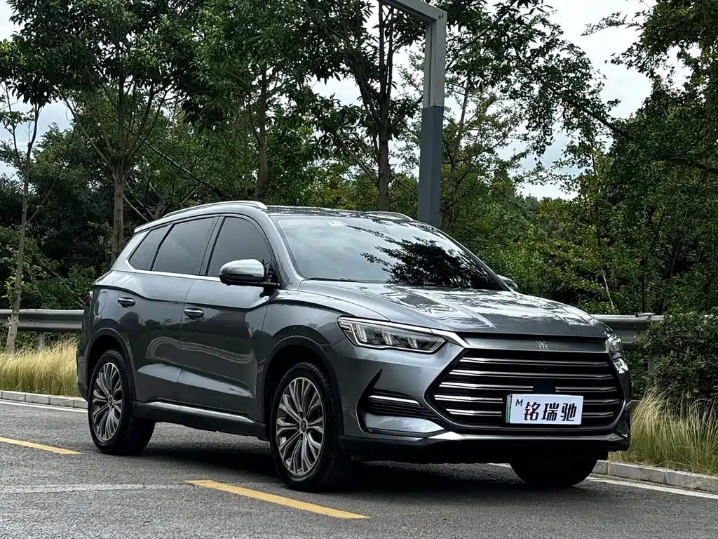 Song Pro NEV DM-i 110 km Flagship