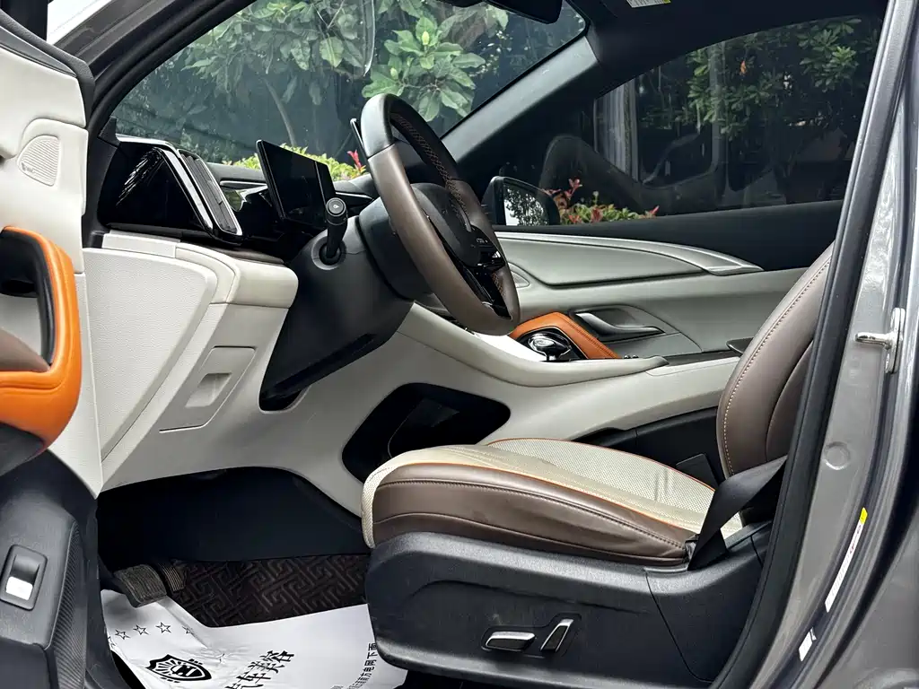 Song Pro NEV DM-i 110 km Flagship