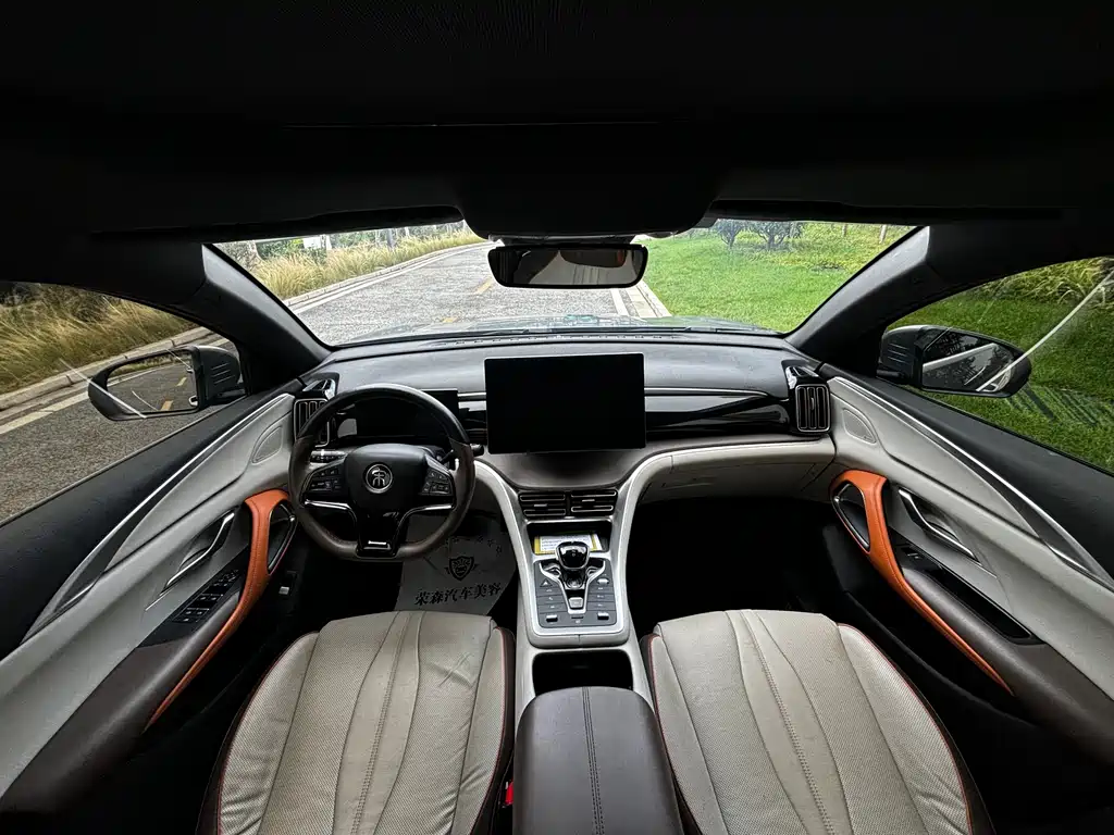 Song Pro NEV DM-i 110 km Flagship