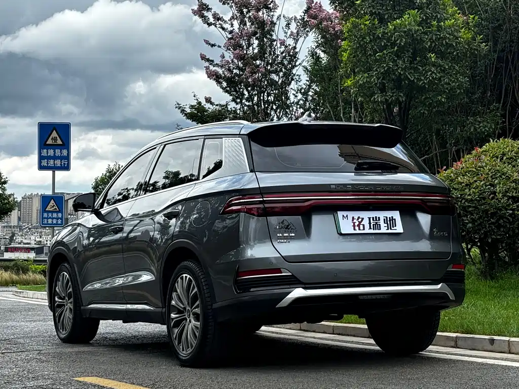 Song Pro NEV DM-i 110 km Flagship