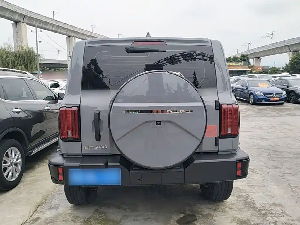 Tank 300 2.0 T Challenger