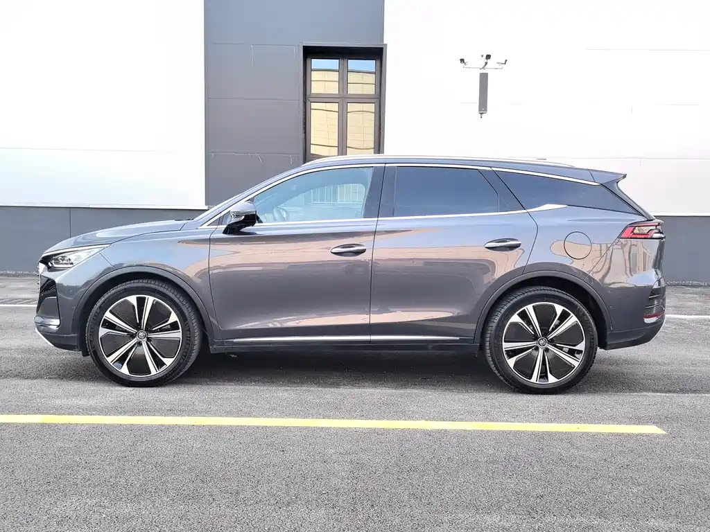 Tang NEV DM-p 215 KM 4 WD Flagship