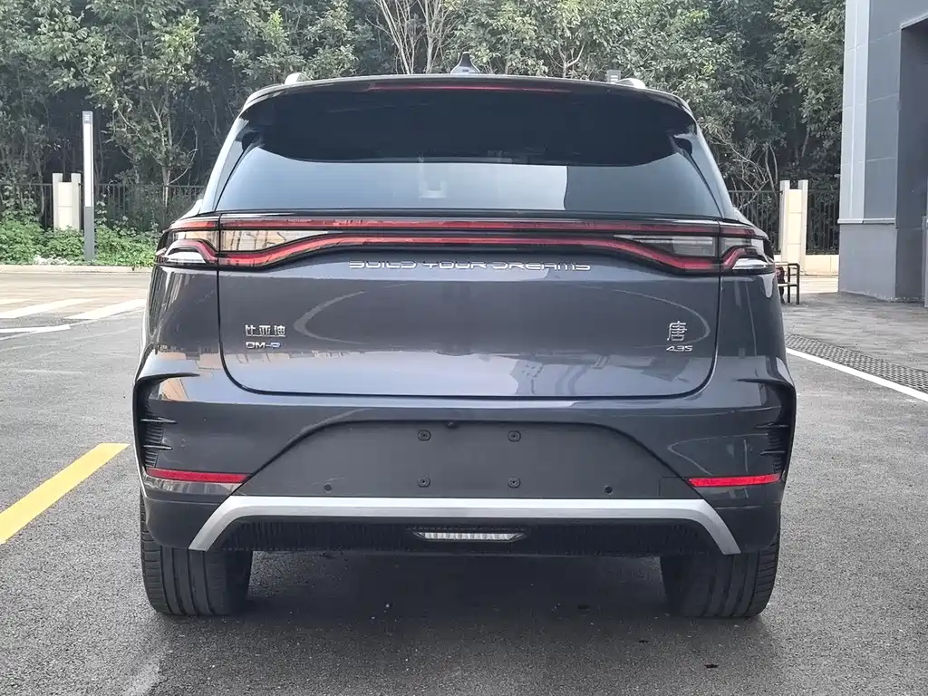 Tang NEV DM-p 215 KM 4 WD Flagship