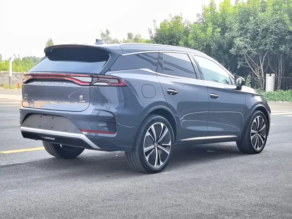 Tang NEV DM-p 215 KM 4 WD Flagship
