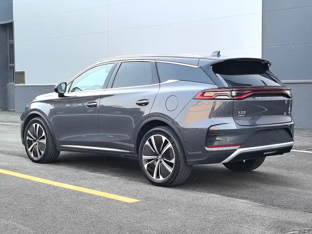 Tang NEV DM-p 215 KM 4 WD Flagship