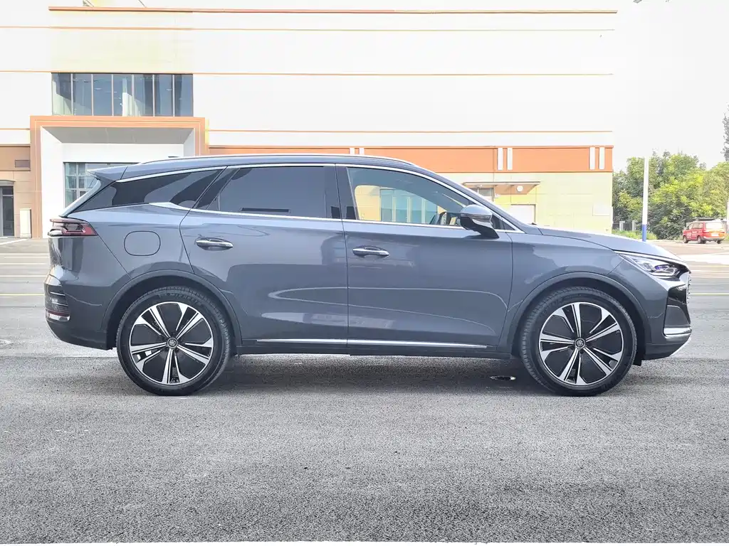 Tang NEV DM-p 215 KM 4 WD Flagship