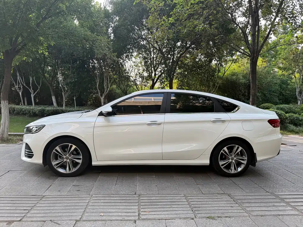 Binrui 200 T DCT Colorful