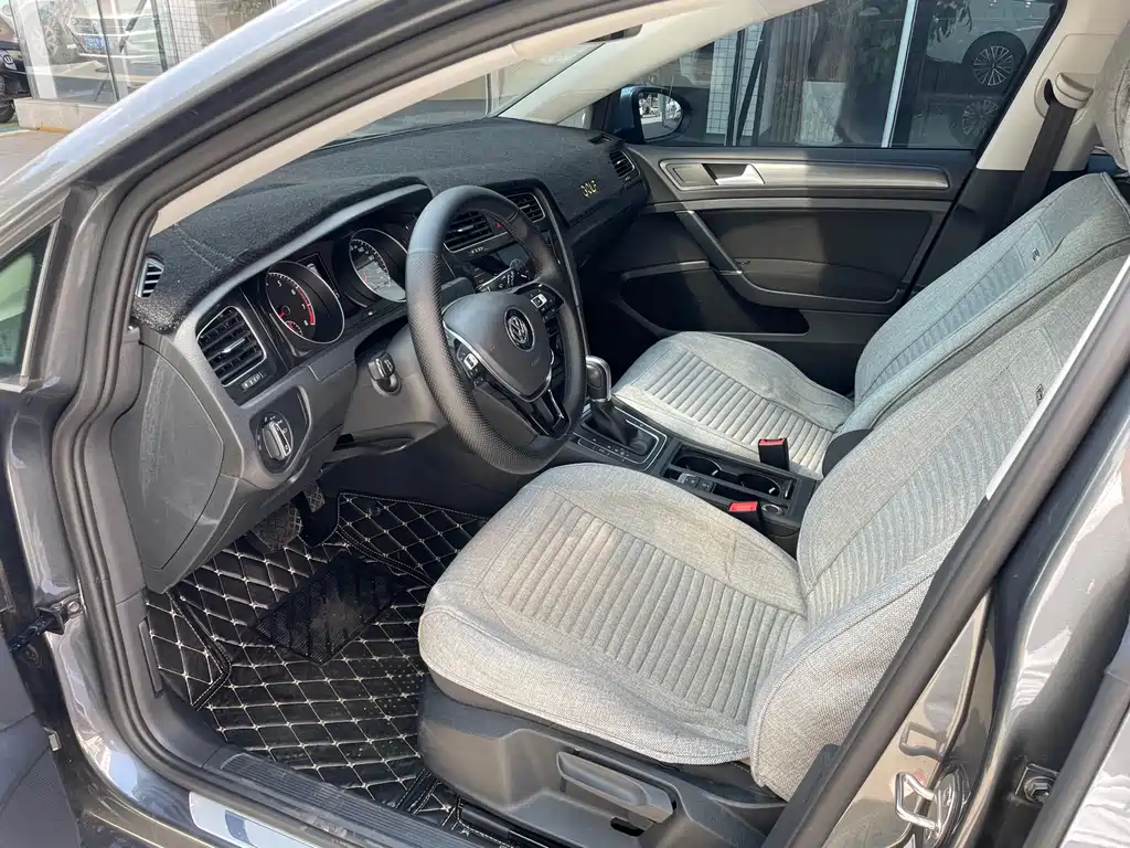 Golf (Import) 高尔夫(进口) 2019款 1.8 TSI 旅行版
