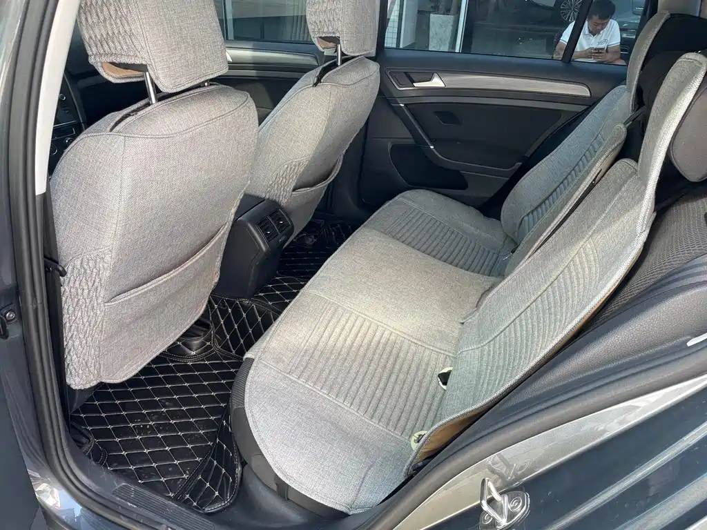 Golf (Import) 高尔夫(进口) 2019款 1.8 TSI 旅行版