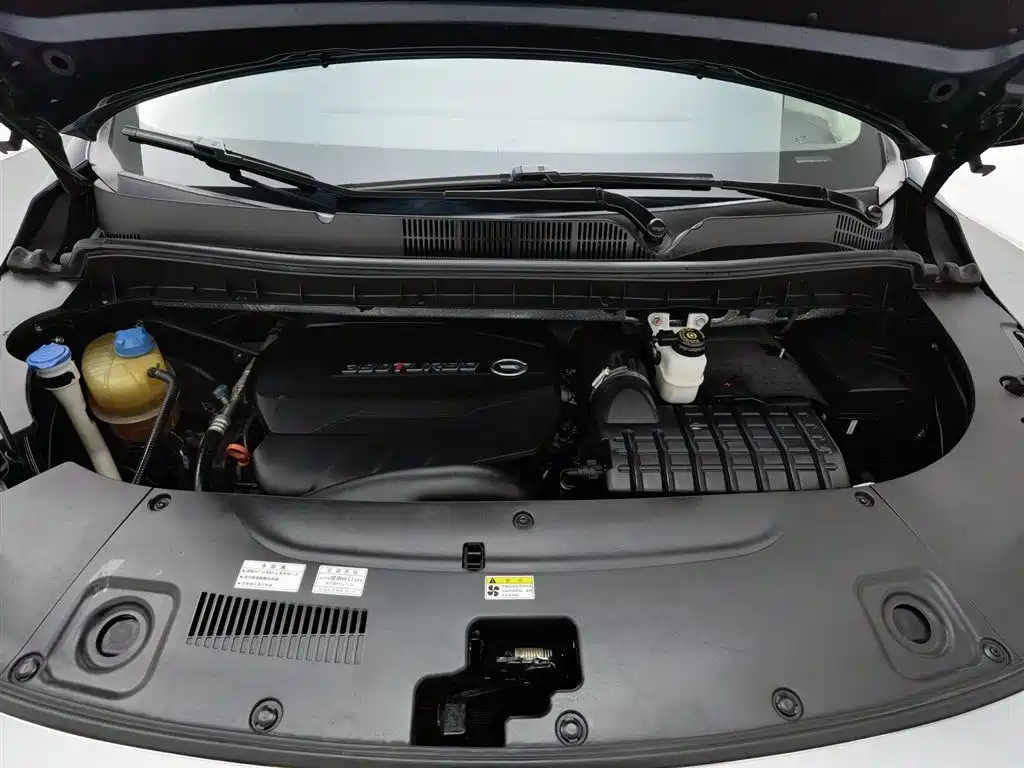 GAC Trumpchi M8 Leading Show Series 390 T Distinguished