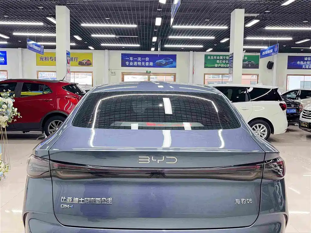 Seal 06 DM-i 80 KM Luxury