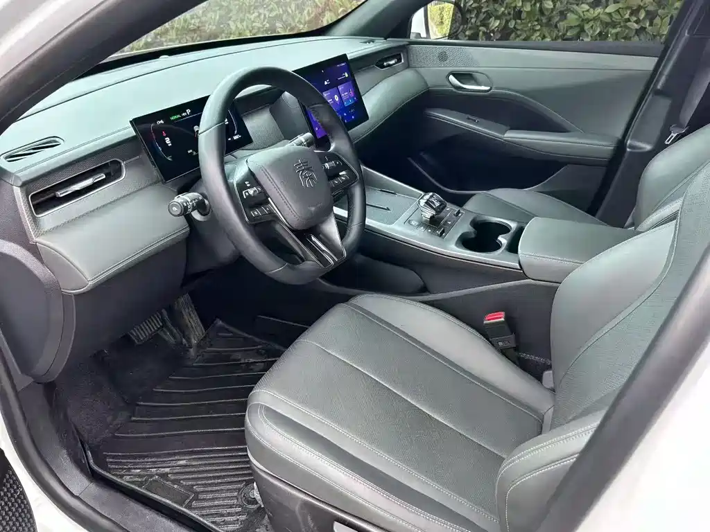 Qin PLUS DM-i Smart Drive 55 KM Leading