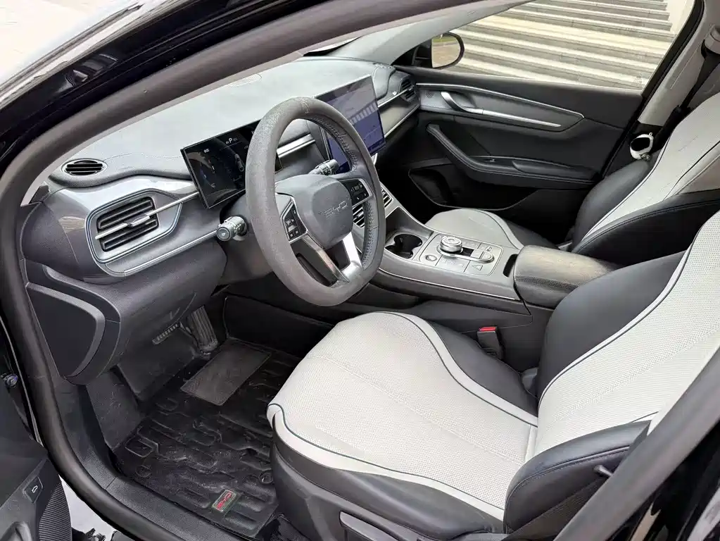 Destroyer 05 Champion DM-i 55 KM Luxury