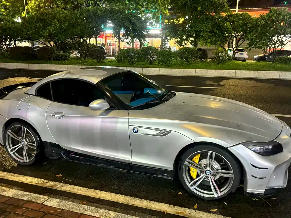 BMW Z4 宝马Z4 2010款 sDrive30 i领先型