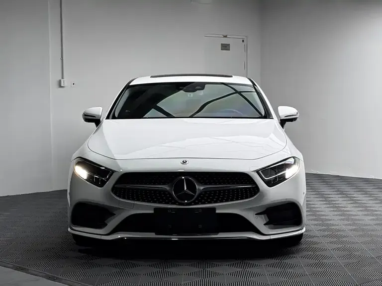 Mercedes-Benz CLS CLS 300 Luxury