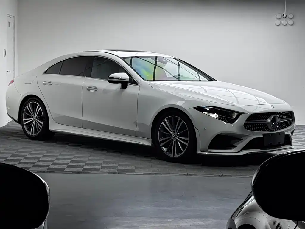 Mercedes-Benz CLS CLS 300 Luxury