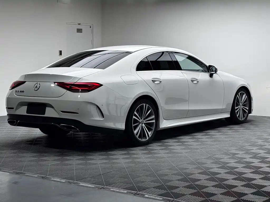 Mercedes-Benz CLS CLS 300 Luxury