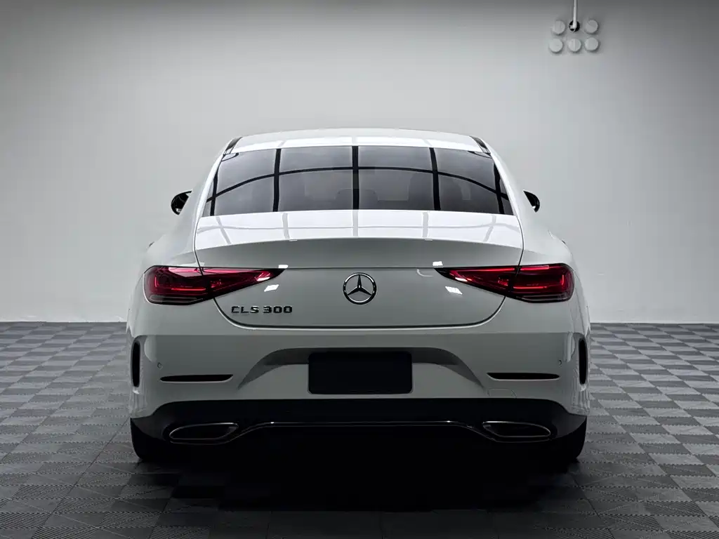 Mercedes-Benz CLS CLS 300 Luxury