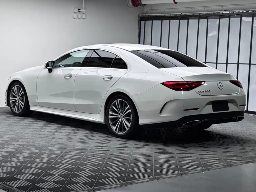 Mercedes-Benz CLS CLS 300 Luxury