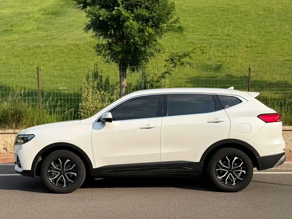 Haval H6 China Style 1.5 T Auto Urban