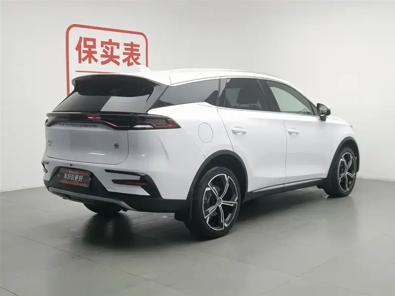 BYD Tang NEV DM-i 112 KM Distinguished