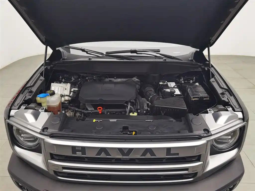 Haval Dargo 2.0 T DCT Brilliance Country Dog