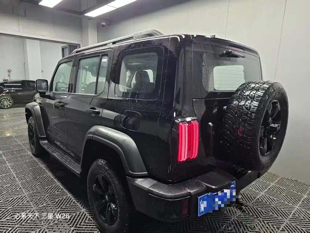 Tank 300 2.0 T Gasoline Conqueror