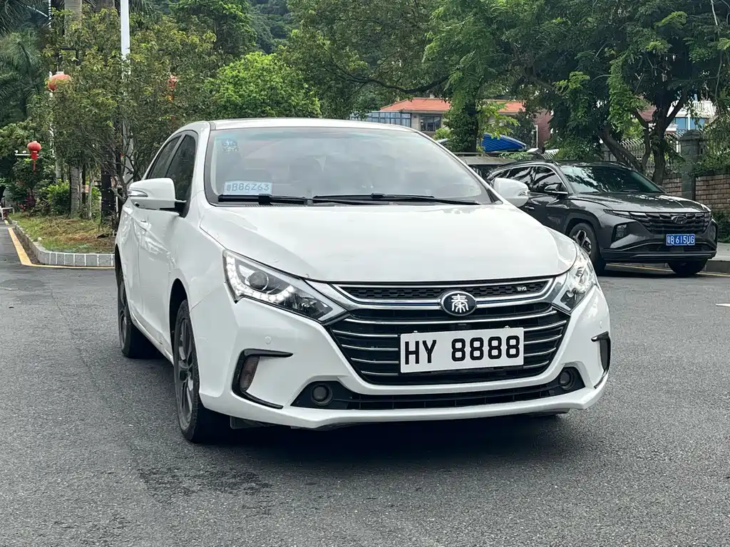 Qin NEV 1.5 T Distinguished