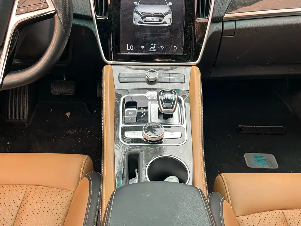 Qin NEV 1.5 T Distinguished